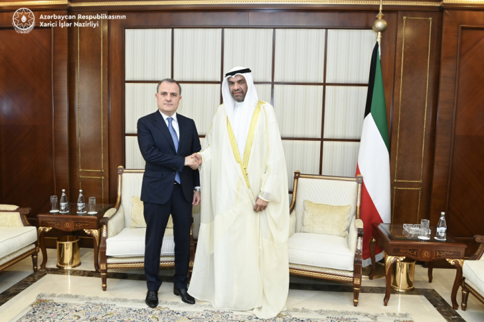 Jeyhun Bayramov informs his Kuwaiti counterpart about Azerbaijan’s humanitarian mine action