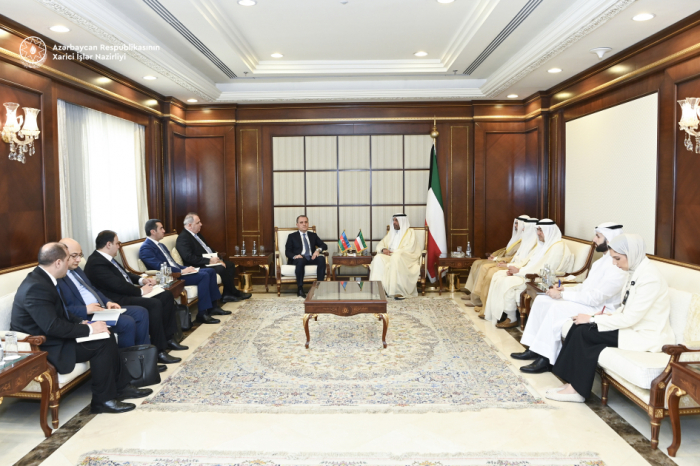   Canciller azerbaiyano informa a su homólogo kuwaití sobre las actividades de desminado humanitario de Azerbaiyán  