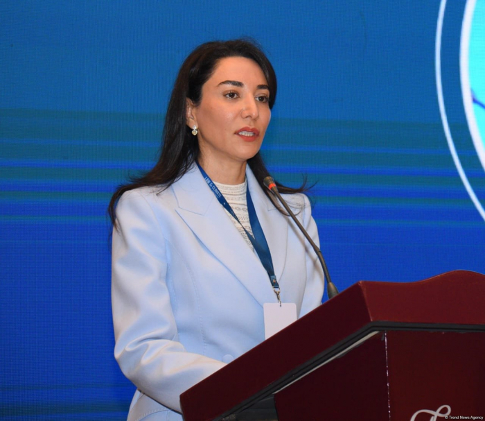 Azerbaijani ombudsperson addresses open letter of protest to Amnesty International