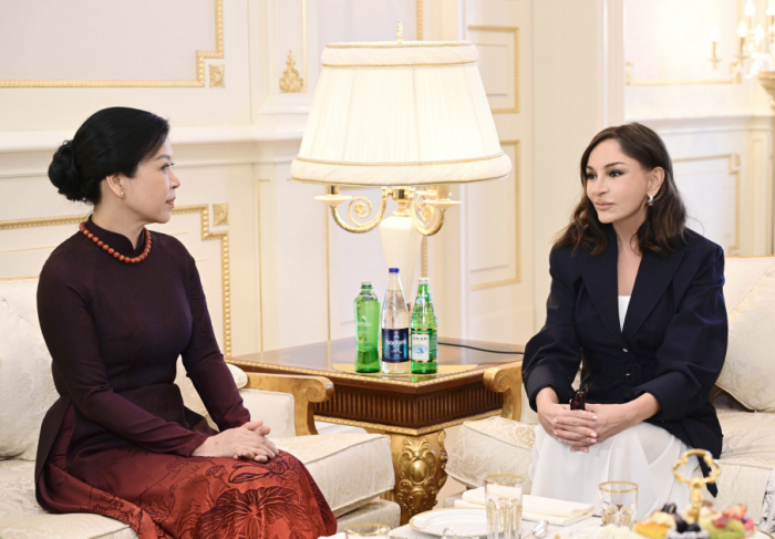 La Primera Dama de Azerbaiyán se reunió con la esposa del Secretario General del Comité Central del Partido Comunista de Vietnam La Primera Dama de Azerbaiyán se reunió con la esposa del Secretario General del Comité Central del Partido Comunista de Vietnam
