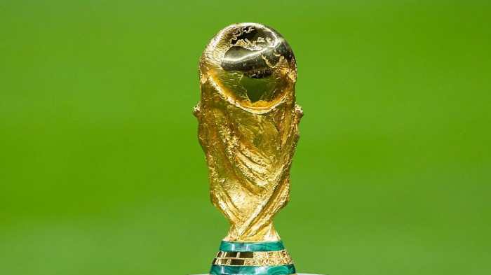   DFB positioniert sich vehement gegen aberwitzige WM-Pläne  