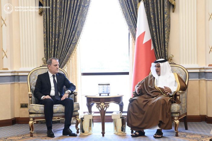 Azerbaijani Foreign Minister discusses regional situation with Bahraini Crown Prince