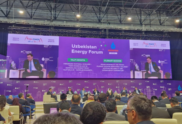  El Viceministro de Energía participó en la Semana de la Energía de Uzbekistán 