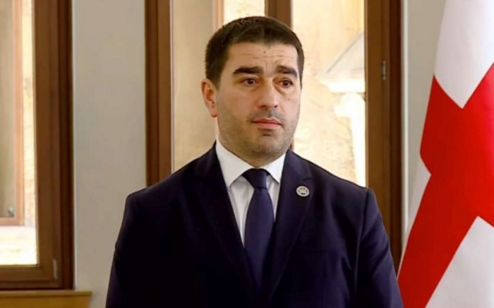  Georgisches Parlament verurteilt „Buddy Act“ des US-Kongresses 