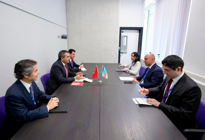 Officials from Azerbaijan and Türkiye discuss educational cooperation
