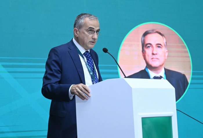   Farid Sсhafiyev:  Islamophobie stellt eine ernsthafte Bedrohung für die globale Stabilität und Einheit dar 