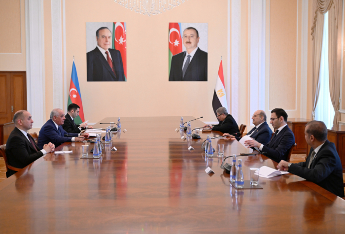 Prime Minister Ali Asadov meets with Speaker of Egyptian Senate