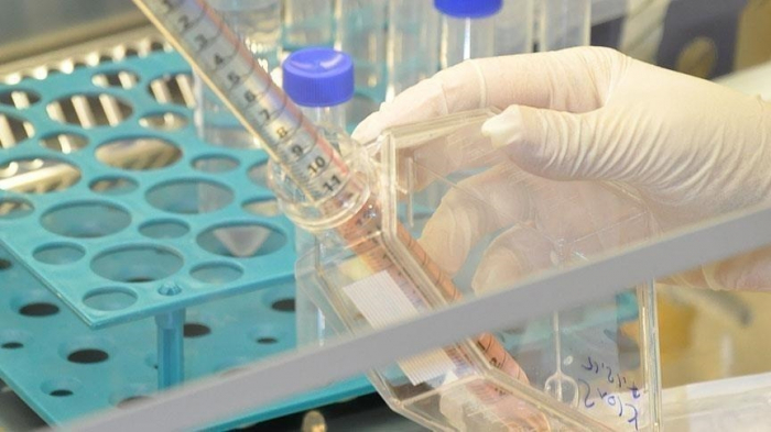 Death toll in Australia’s Queensland state from soil-borne disease rises to 31