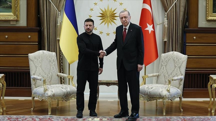 Turkish, Ukrainian presidents begin talks in Ankara