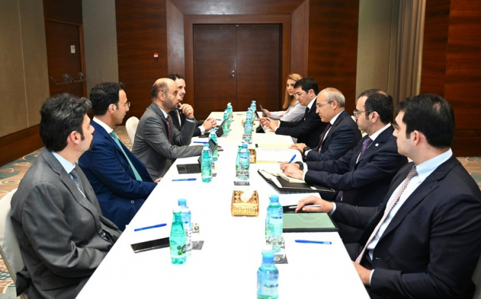  Azerbaijan, OPEC Fund mull prospects for joint activities 