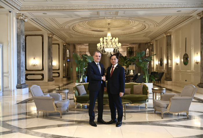   Los Ministros de Asuntos Exteriores de Azerbaiyán y Vietnam abordan cuestiones de seguridad internacional  