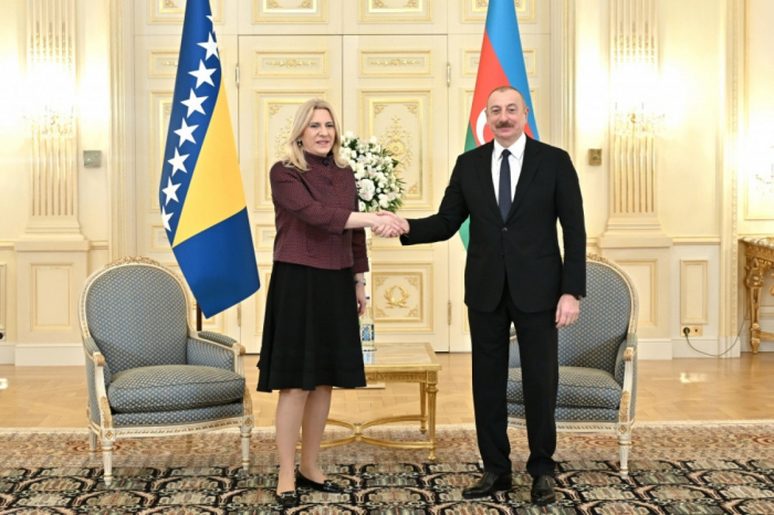 Prezident Bosniya və Herseqovinanın Rəyasət Heyətinin Sədri ilə görüşüb Prezident Bosniya və Herseqovinanın Rəyasət Heyətinin Sədri ilə görüşüb