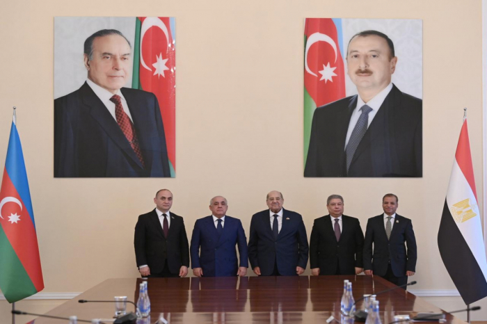 Əli Əsədov Misir Senatının sədri ilə görüşüb Əli Əsədov Misir Senatının sədri ilə görüşüb
