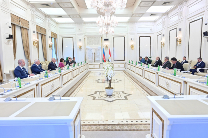 Intercambio de opiniones sobre la profundización de las relaciones interparlamentarias entre Azerbaiyán y Egipto