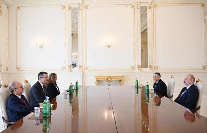   El Presidente de Azerbaiyán recibe al Secretario General del Consejo de Seguridad Nacional de Türkiye  
