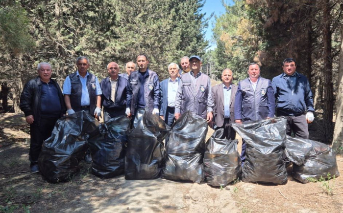 Məhv edilmiş yaşıllıq sahəsi bərpa olunub Məhv edilmiş yaşıllıq sahəsi bərpa olunub