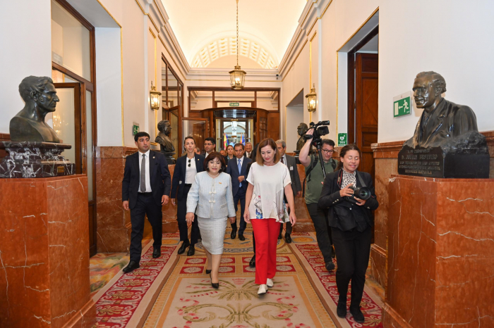    Sahibə Qafarova İspaniya Deputatlar Konqresinin sədri ilə görüşüb -    FOTOLAR      