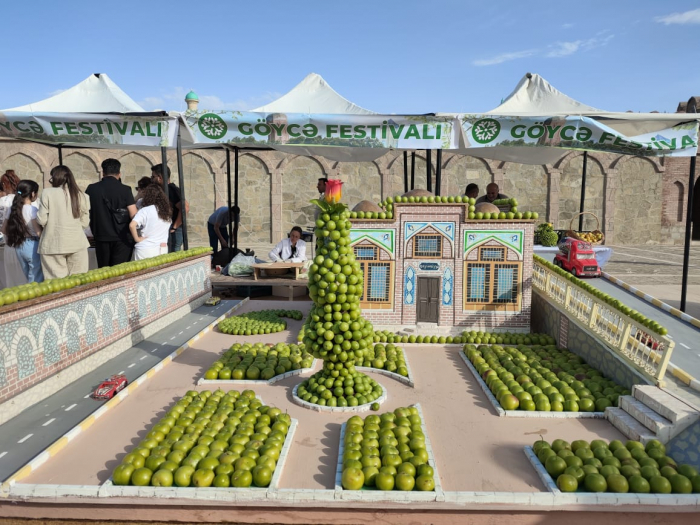   Naxçıvanda “Göycə” festivalı keçirilir -   FOTOLAR    