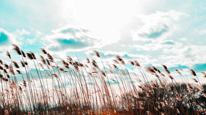  Küləkli hava ilə əlaqədar xəbərdarlıq verilib 