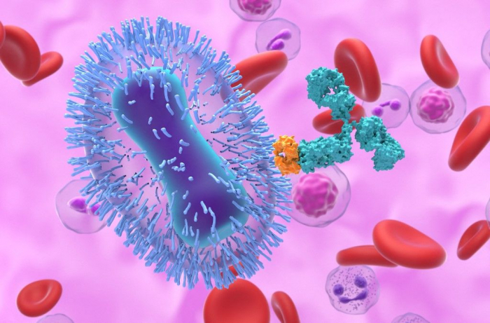 Covid-19: un nouveau variant inquiétant identifié pour la première fois en France
