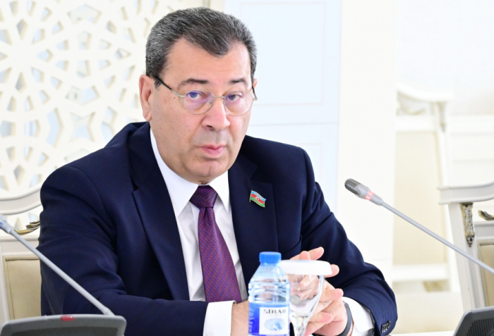   New reality strengthened Azerbaijan’s position in international relations - Samad Seyidov  