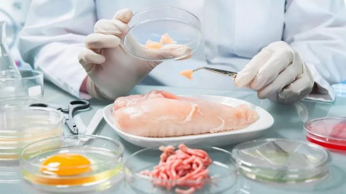 İctimai müəssisələrdə yeni qida normaları müəyyənləşəcək