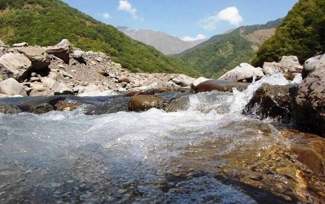Çaylarda müşahidə olunan faktiki vəziyyət açıqlanıb