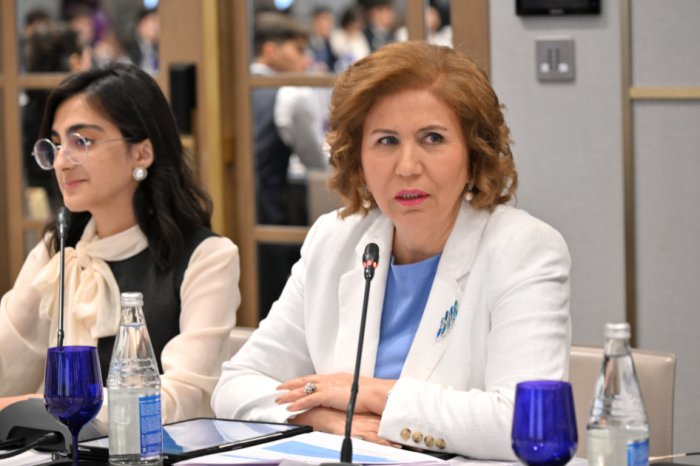       Komitə sədri:    "Uşaqlar mina təhlükəsinin yaratdığı risklərlə üzləşirlər"  
   