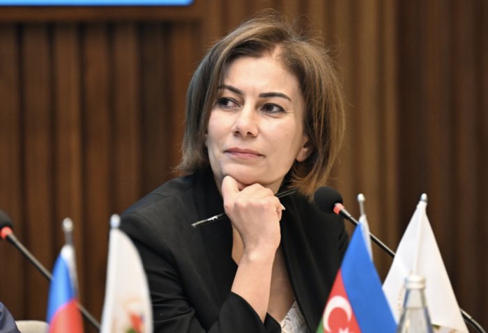 Azərbaycan Şahmat Federasiyasının baş katibi təsdiqlənib  
