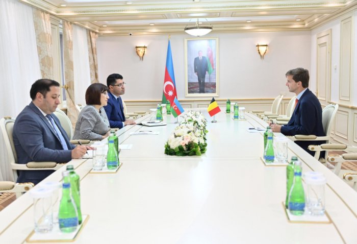 Ambassador: Azerbaijan and Belgium enjoy favorable foundation for enhancing ties
