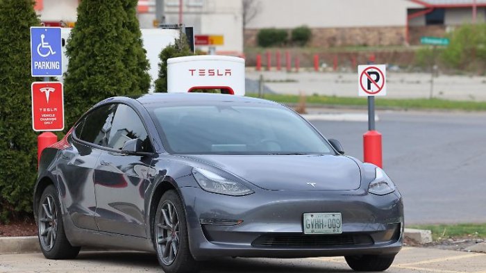   Musk will noch diesen Monat Robo-Taxis an den Start bringen  