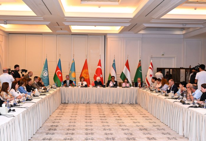 Bakıda TDT ölkələrinin ailə siyasətləri müzakirə olunub