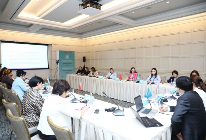 Baku hosts meeting of experts from OTS Member and Observer States