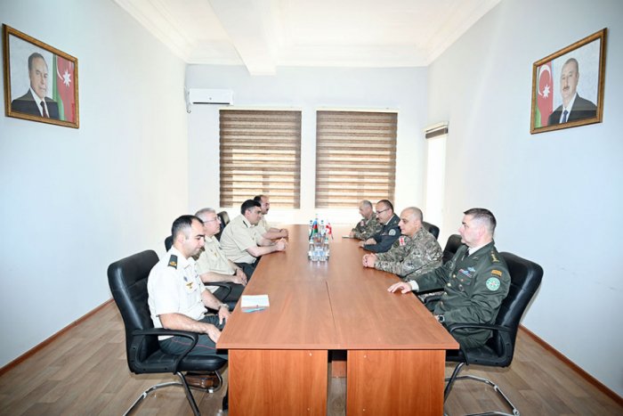   Azerbaijani, Georgian military medical specialists hold meeting  