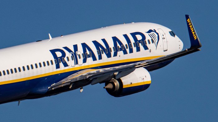 Ryanair says will fine 