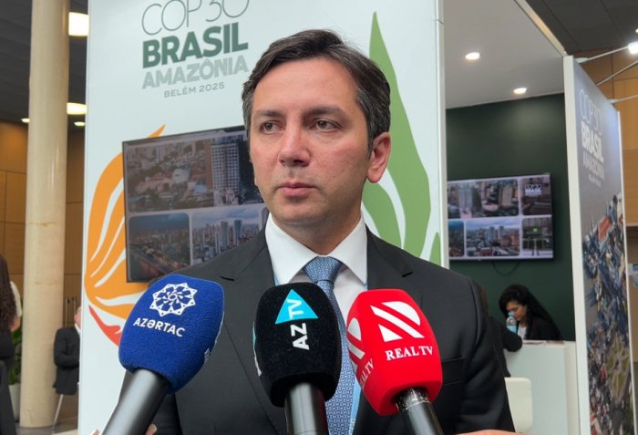 Yalchin Rafiyev: Seven COP29 Presidency events to be held at Bonn session