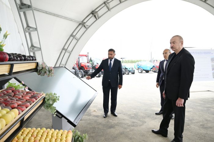    Yevlax pilot aqroparkının açılışı olub   