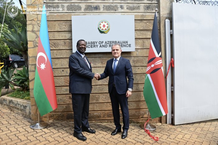   Azerbaijan, Kenya mull bilateral and multilateral cooperation  