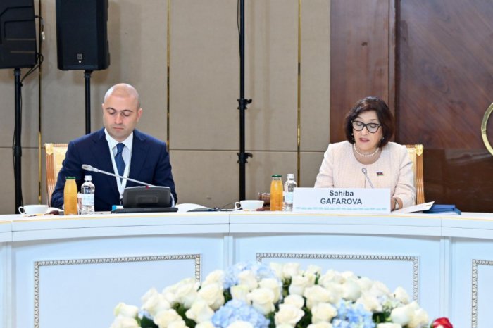 Azerbaijani Parliamentary speaker attends meeting of TURKPA Council of Assembly in Astana