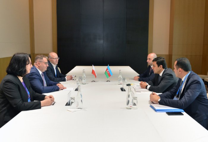 Azerbaijan, Poland mull expansion of institutional tax cooperation