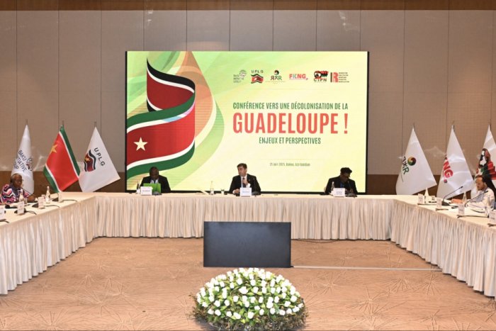   COP29 Presidency representative addresses ninth meeting of Paris Committee on Capacity-building  