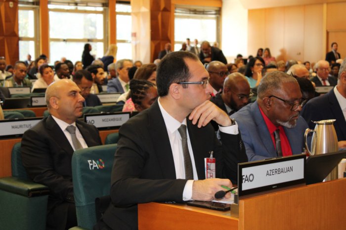 Azerbaijan represented in FAO-organized high-level ministerial Event
