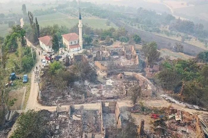 Türkiyədə meşə yanğınları davam edir