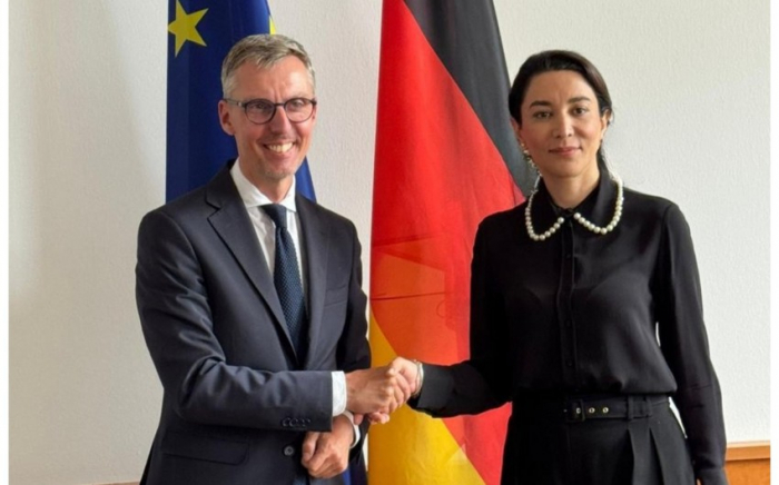  Azerbaijani ombudsman briefs German representative on mine threat from Armenia 