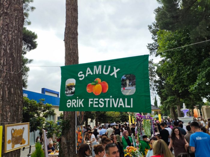 Samuxda ərik festivalı təşkil olunub
