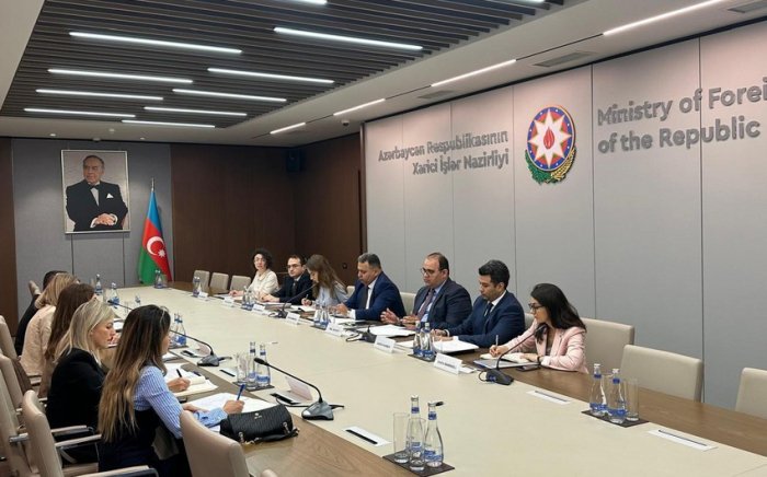  Monteneqro ilə konsulluq məsləhətləşmələri aparılıb 