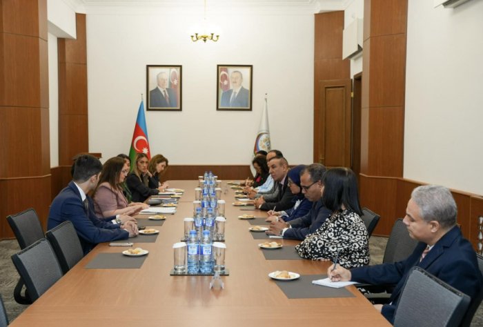 Azerbaijan, Morocco discuss prospects for cooperation