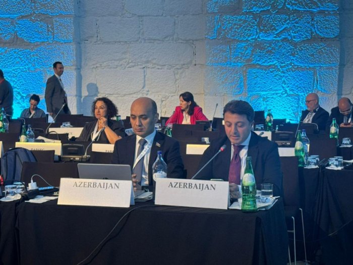   OSCE PA calls for assistance to Azerbaijan in demining efforts and rehabilitation  