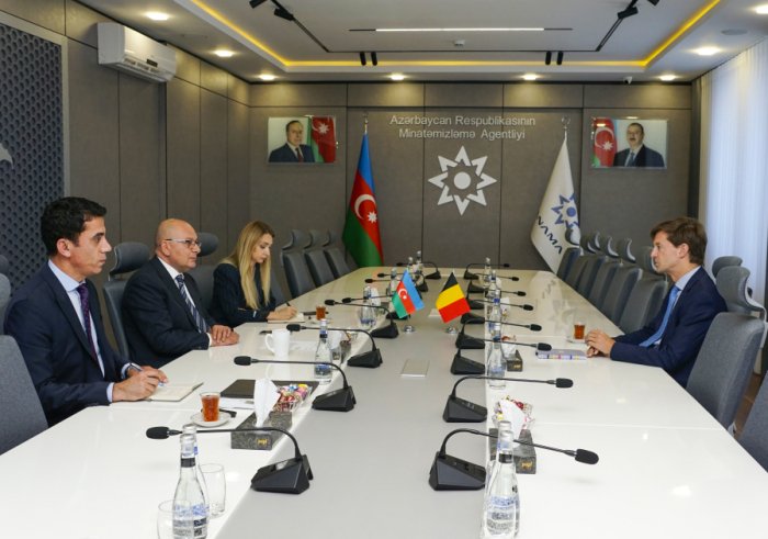   Azerbaijan, Belgium explore prospects for demining cooperation  