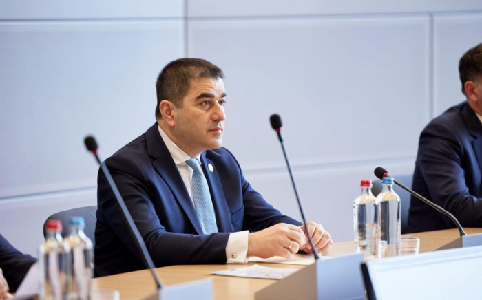   Shalva Papuashvili:  Saakaschwili wird nicht begnadigt 